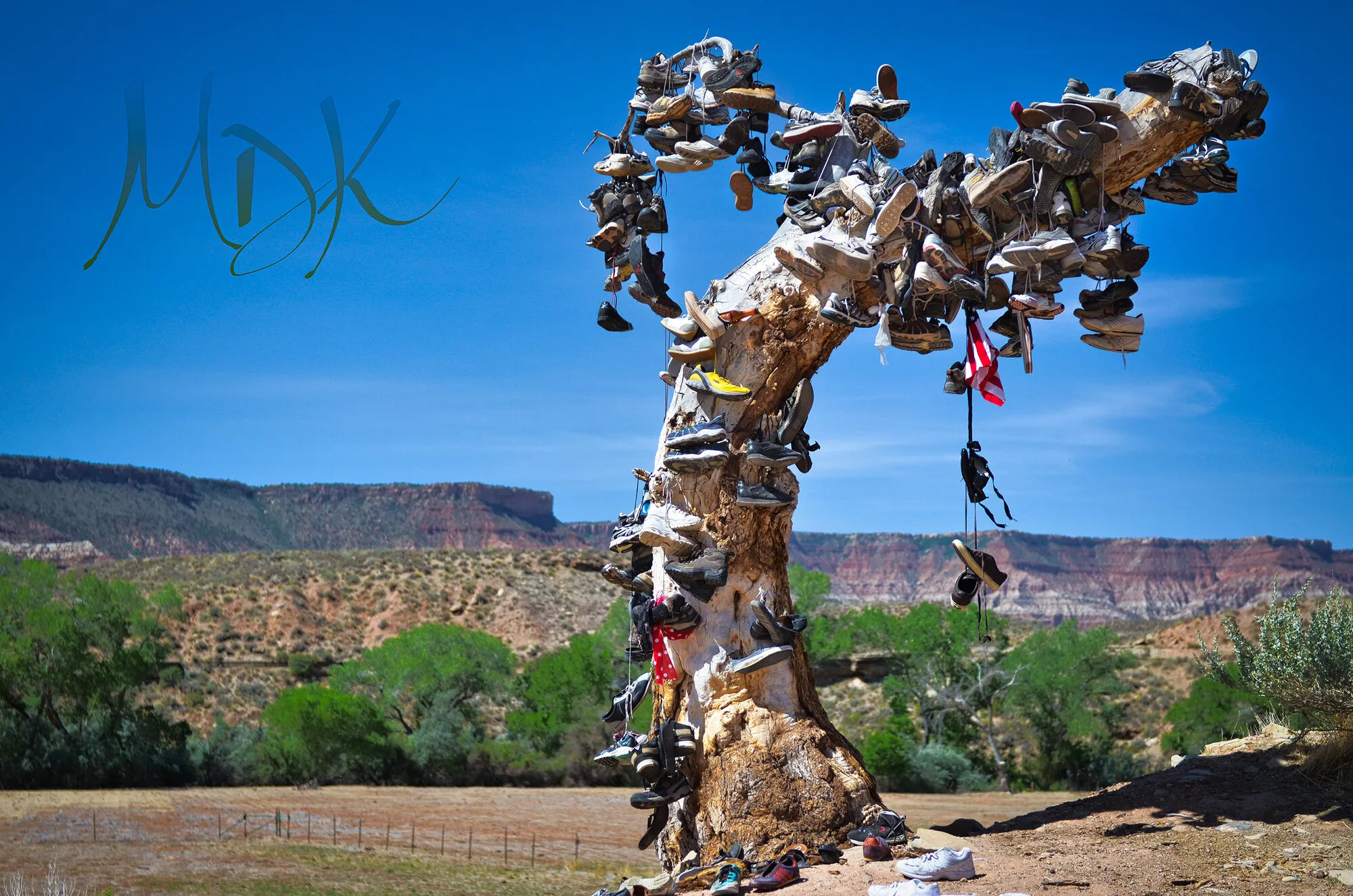 Fine Art — image 7