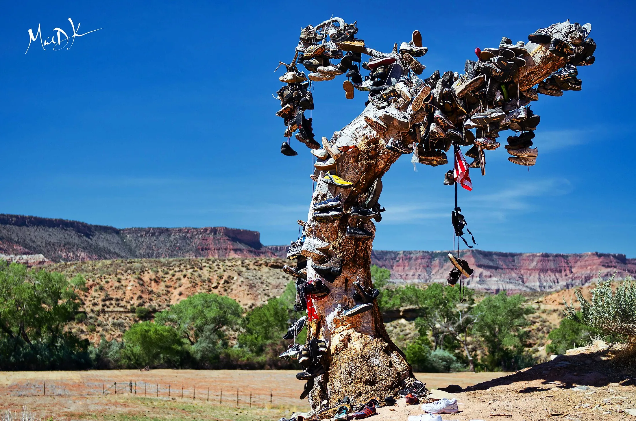 Fine Art — image 9