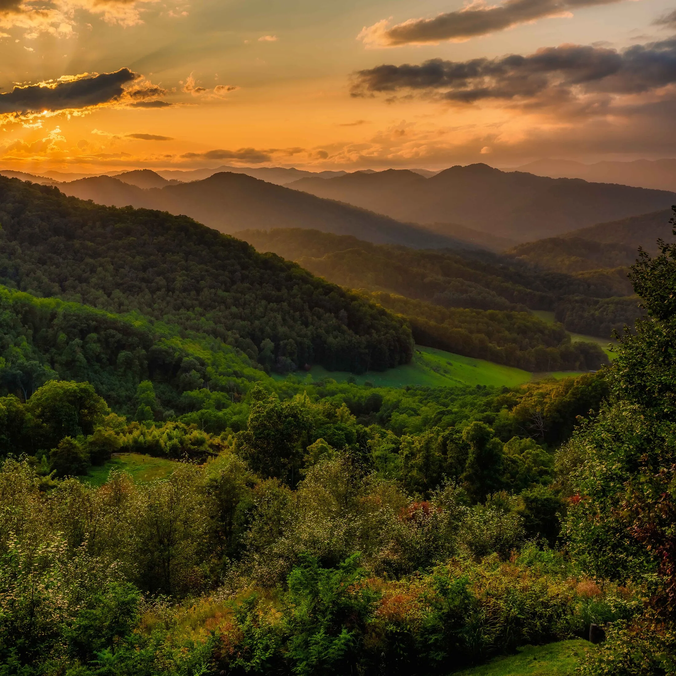 Landscapes — image 11