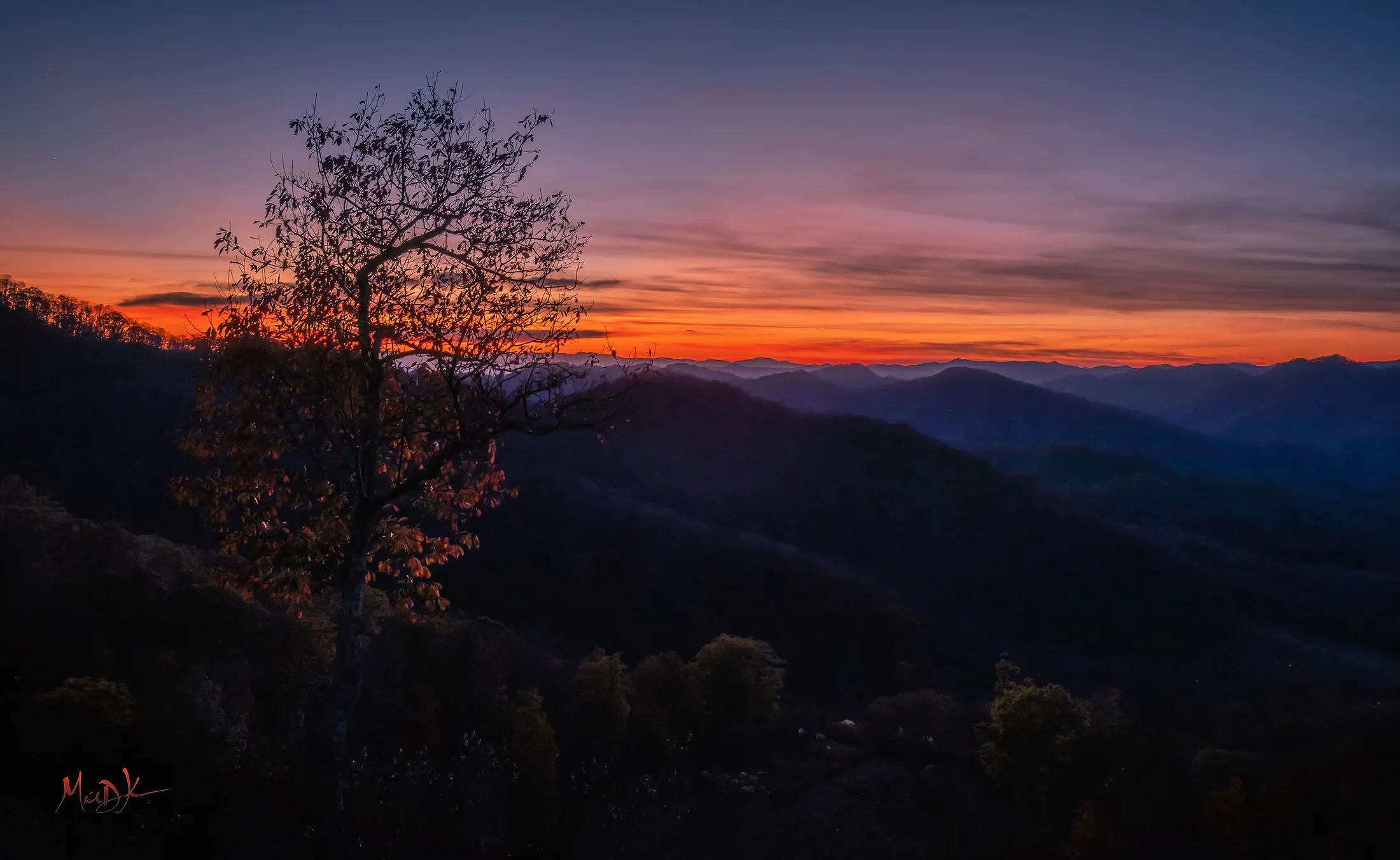 Landscapes — image 13
